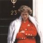 Paula Hamilton 1987