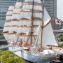 【日本丸 総帆展帆】ちと逆光気味だけど船尾側の展望台から