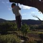 Kleine K hoog in de boom. 