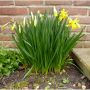 Langzaamaan... #lente 