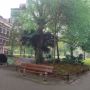 Why I love Rotterdam <3 #ART 