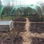 Eksters en konijnen maken geen schijn van kans meer in onze fully protected groentetuin