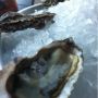 Oesters!