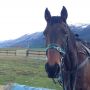 My buddy in #NewZealand. Famous for his work on LOTR &other big films. Will miss the guy, really hit it off.