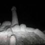 Aft my convo with @gailstevo I had to do a self portrait snowman sorry its dark I was late last night :))) 
