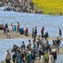 【ひたち海浜公園2016】この日だけで何万人の人が来たんだろうな(棒) 