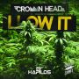 CROWN HEAD - LLOW IT - SINGLE #ITUNES 11/6/15 @crankshaftmuzik 