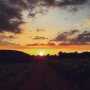 Wine comes along nicely here 🍷☀️🌿
#winelife #frenchsunset #viewfromthegarden