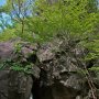 【筑波山】筑波山奇岩群その2 北斗岩 天空に輝く北斗星のように決して動かないことを意味している(らしい) 