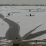 Het bewijs: Schaatsers op de Bovenwijde in Giethoorn. Webcam: http://www.rtvoost.nl/winter #natuurijs