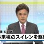 外来種って聞くともう鎧武のことが浮かんじゃうね、仕方ないね