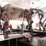 I. In Nat Hist Museum. 