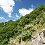 【社山を行く】途中からはかなり険しい登山道ｗ 進撃すんぜ！