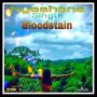 NYASHANE - BLOOD STAIN - SINGLE - JCANNON RECORDS #ITUNES 12/10/13 @jcannon48