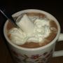 Op dit soort koude avonden mag je jezelf best af en toe verwennen met een mok Hot Chocolate met slagroom en marshmellow toch?