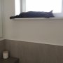 When I see Angus so safe, so blissed out, I feel so relieved we saved him from RSPCA deathrow... Set them free rather than murder them.