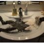 Cat in bath is so last week.  I give you... bathing rabbit!