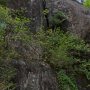 【筑波山】筑波山奇岩群その5 陰陽石 陰陽寄り添っているように見える奇岩 