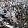 Dooi is mooi. #dooi #sneeuw #winter 