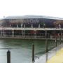   Hard Rock Cafe Miami
