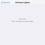 It's the thirteenth! I was promised a software update!? Give it to me!!! #ios10