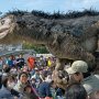 【佐野スプリングフェスティバル】さすが飼い慣らされているだけあって演出のツボを心得ているなｗ 良い絵が撮れたわｗ