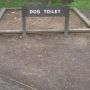 Just need to teach the dog to tell me when he needs to go !
