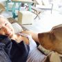 Lap dog.