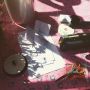 Meanwhile in Wonderland-garden.. #diy
