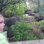 I. En rhino's. 