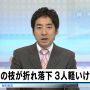 ががが、木の枝落下って結構太い