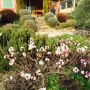 Tuin
