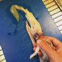 Gutting the squid is always interesting work. #food