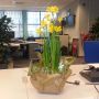 Lente! 