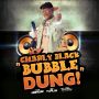 CHARLY BLACK - BUBBLE DUNG - SINGLE - #ITUNES 10/15/13 @CASHFLOWRECORDZ @DJNEILCASHFLOW