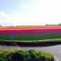 Was vandaag toerist in eigen land.