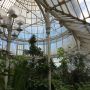 Palm House Belfast
