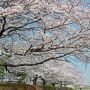幸手市・権現堂の次はグンマーへ進路を取りつつじが岡公園にやってきました