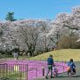 【長峰公園】お天気に恵まれたとあってご家族連れもたくさんいらっしゃってました