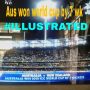 #illustrated aus won world cup by 7wk #cwc15 #cricket