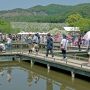 【あしかがフラワーパーク2015】水上花壇 綺麗なんだけど毎年、橋から落下する人がいないのかと心配になりますｗ