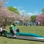 【天平の丘公園の八重桜】園内には新幹線も走ります(違 