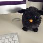 In 1998 kreeg ik een Furby voor m'n verjaardag. Nu, 15 jaar later, heb ik er weer een. En hij is awesome. 