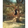 Vondelgym hangt aan de bomen in Egypte @sytzeboomsma #vondelgymmetvakantie #vondelgyminegypte #monkeyboy #movenat #climbingtreesisawesome