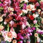 A wall full of colorful flowers 🌺#decoration #beautiful #flowers #colours #inspiration #mooiwatbloemendoen