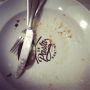 Fueling up on carbs. Downed our first pasta #preparations #mr15 #pasta #carbs #fuel #running #rotterdam #pastakantine
