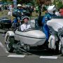 【ｸﾞﾝﾏｰ】カーニバルだよ！！ カーニバルだよ！！ イヤッッホォォォオオォオウ！ (´∀｀ / /
