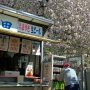 【天平の丘公園の八重桜】まだお客さんの少ない早朝、お店のおっちゃんは酒の準備に余念がないｗ 