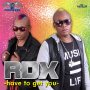 RDX - HAVE TO GET YOU - SINGLE #ITUNES 4/21/17 #PREORDER 4/7/17 @SilverBirdsJA @RDXmusic