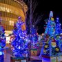 【つくば市】100本のクリスマスツリー終了のお知らせ http://ht.ly/rjDLg そうか今年はやらないのか...